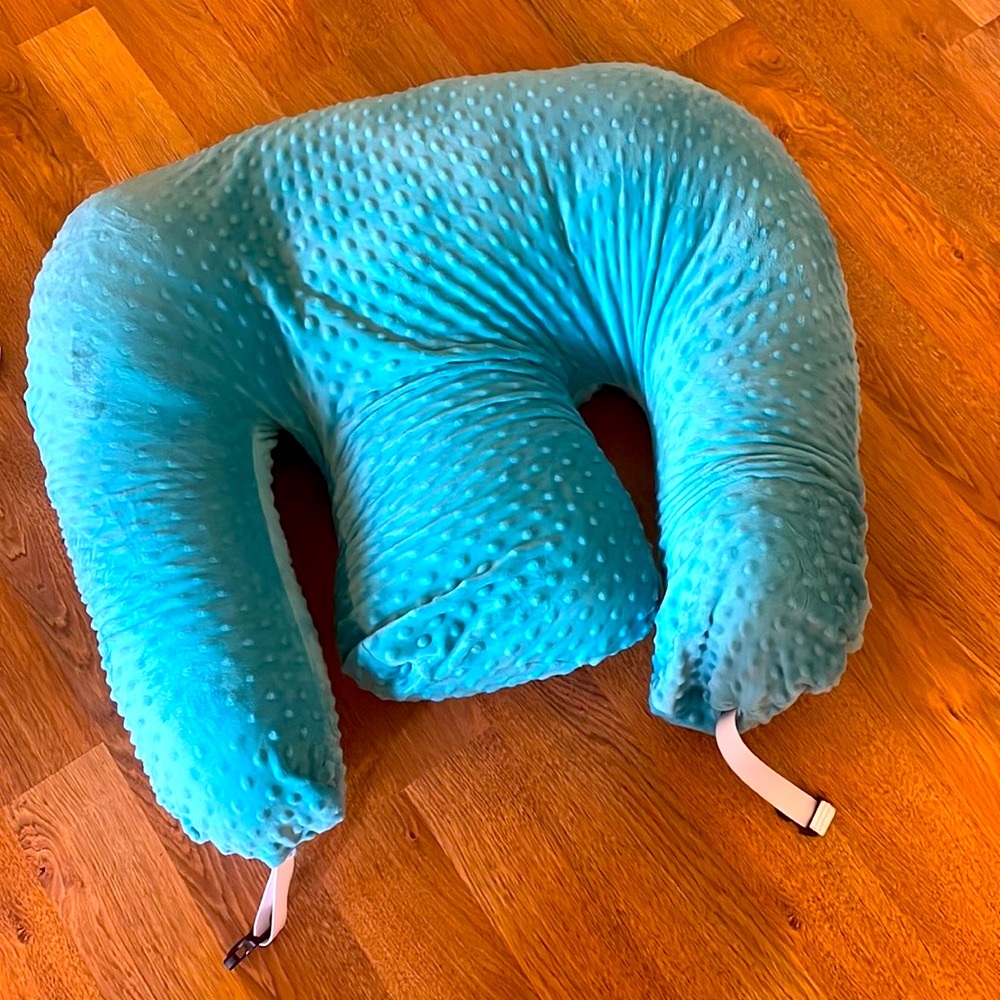 Twin Z Pillow with carrying case